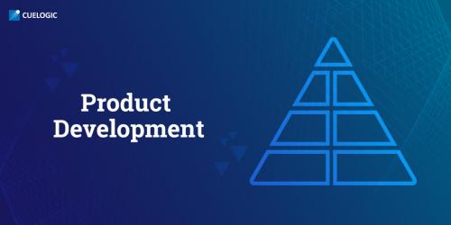 Software Product Development