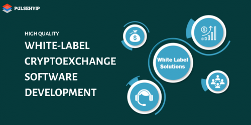 HIGH QUALITY WHITE-LABEL CRYPTOEXCHANGE SOFTWARE DEVELOPMENT (1)