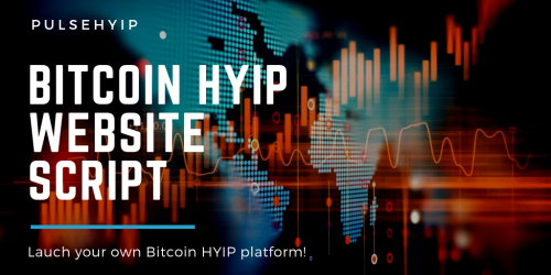 Bitcoin HYIP website script