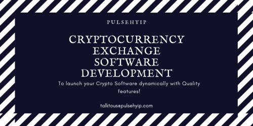 CRYPTOCURRENCY EXCHANGE SOFTWARE DEVELOPMENT