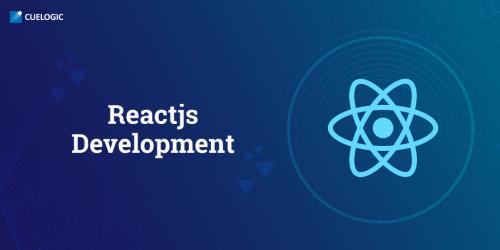 Reactjs Development Services