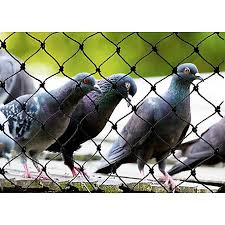 pigeon net