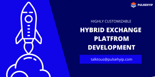 HYBRID EXCHANGE PLATFROM DEVELOPMENT