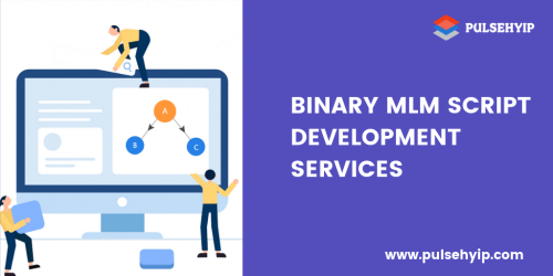 Binary MLM Script (1)