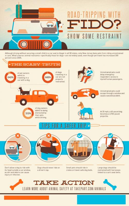 Road Trip Safety With Your Dog