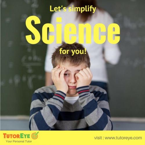 Best Online Science Tutor