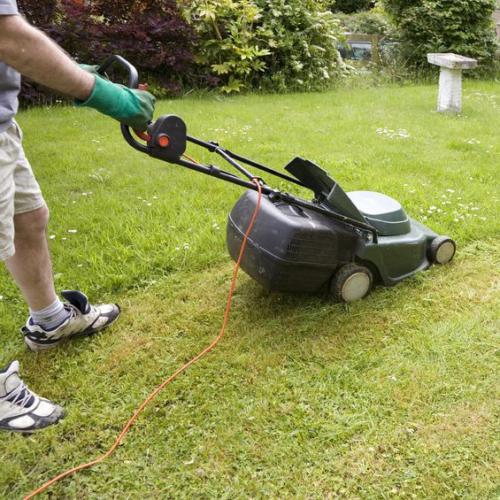 LawnMaintenanceCompanies4