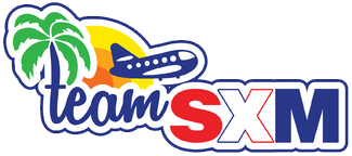 team sx Logo