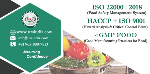 ISO 22000 Food Safety Audit