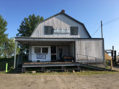 Bay Port Fish Retail