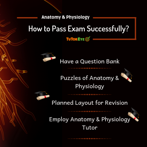 How to pass Anatomy and Physiology Exams?