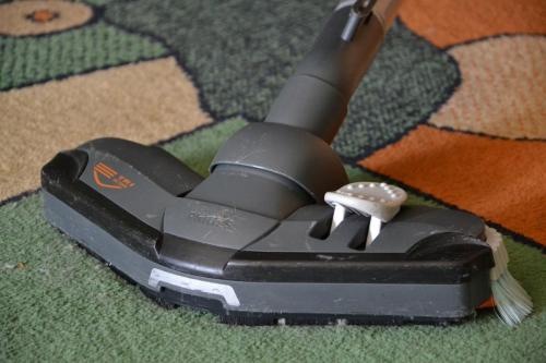 Carpet Cleaning Services