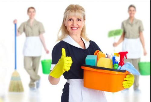 maids-services-500x500-1