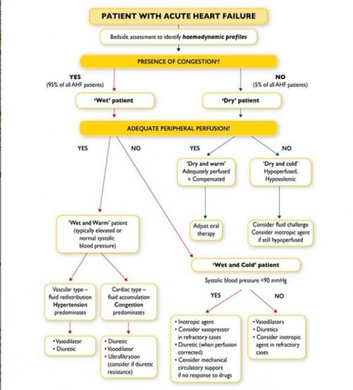 Patient with acute heart-failure