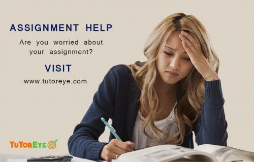 Assignment Help Online