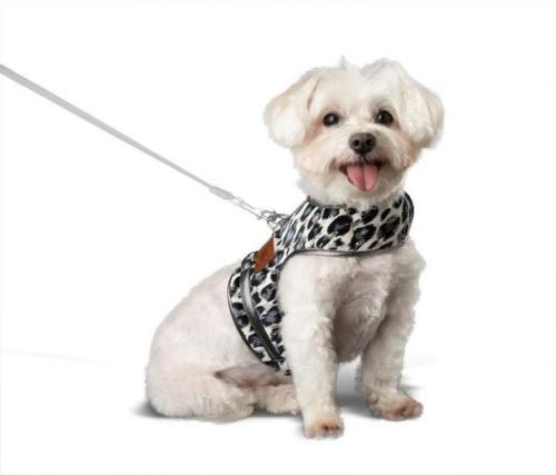 Buy Online Snow Leopard Puppy Harness | Haute Hounds