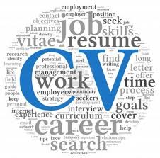 Professional CV Writing