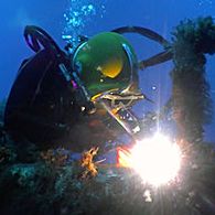 Photo_47126_2