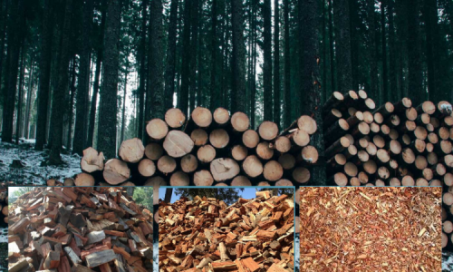 Licensed Supplier of Firewood for Sale Near You