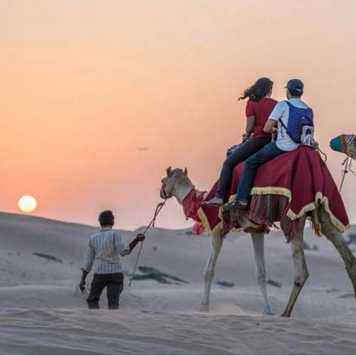 camel-ride-morning-desert-safari