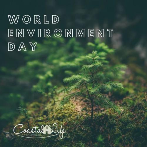 World's Environment Day 2020