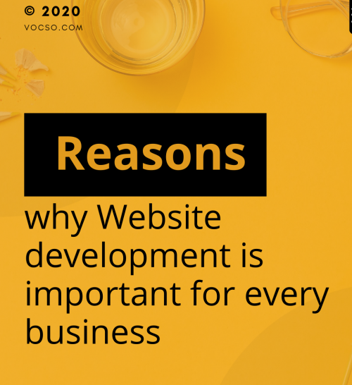 Reasons why Website development is important for every business