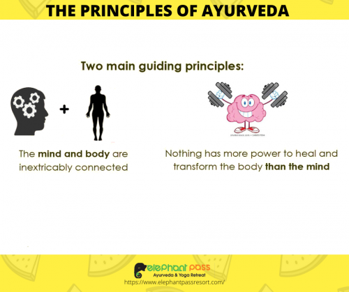 ayurveda and yoga retreat kerala