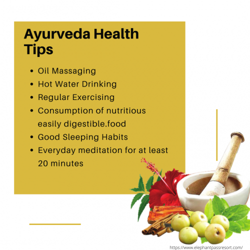 ayurveda tips for healthy life_elephant pass ayurveda resort and yoga retreat in kerala.png