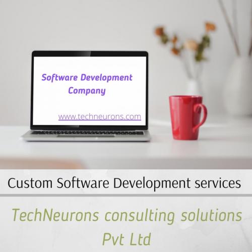 _custom software development services