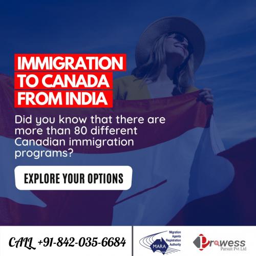 Canada Immigration Consultant