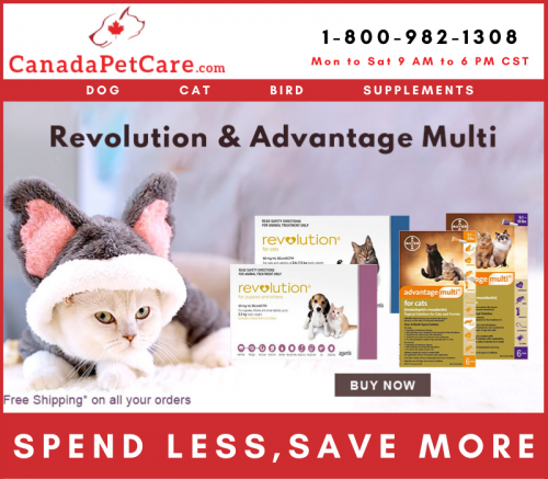 Happy, Healthy Cat Month - Buy Online Revolution & Advantage Multi for Cats in the lowest price on CanadaPetCare.com