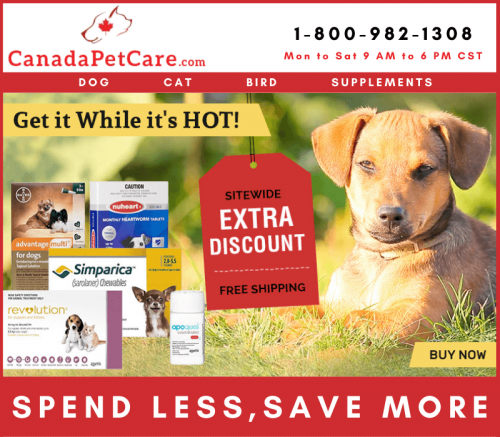 Affordable Online Pet Supplies for Dogs & Cats with Best Discount + Free Shipping