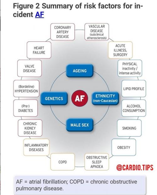 Risk factor of atrial fibrillation