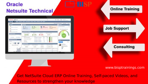 Oracle  netsuite technical (2)