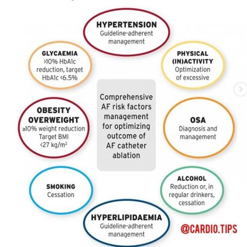 Risk factors for AF that contribute to failed rhythm control