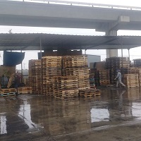Photo_41853_3