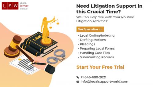 Litigation Support Services