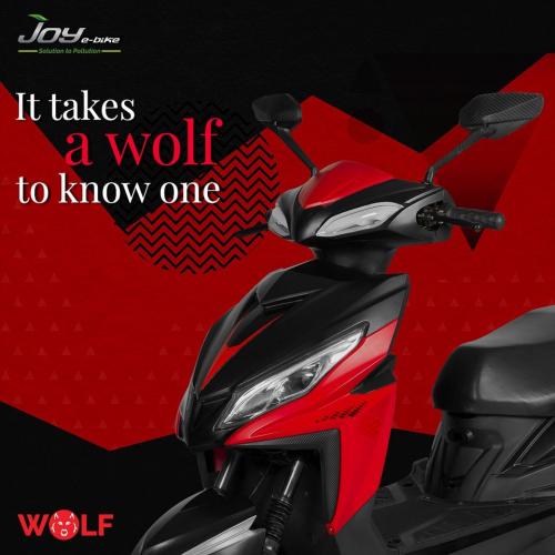 Wolf Bike - Best Electric Bike in India