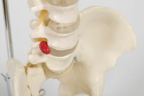 Chiropractor Newport