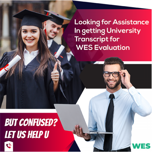 transcript for wes evaluation