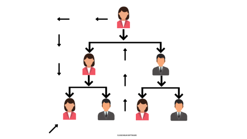 MLM Board Plan (2)