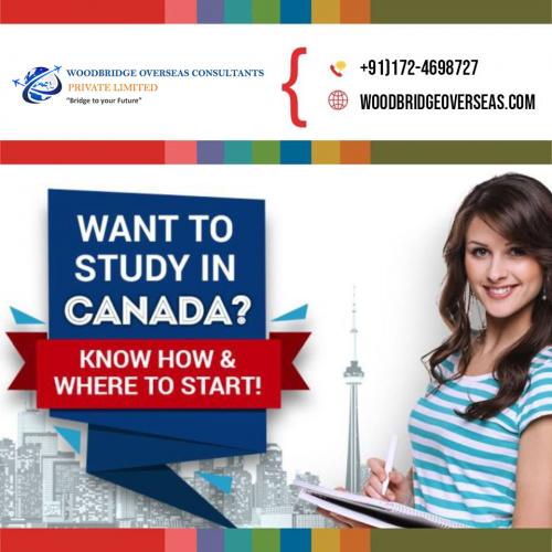 canada Study Visa Consultants