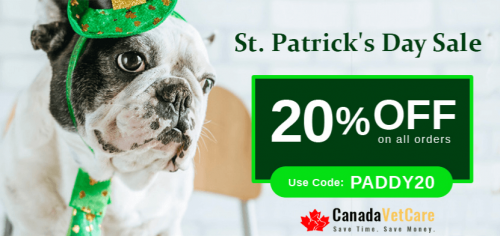 Your Lucky Day - 20% Off Coupon!