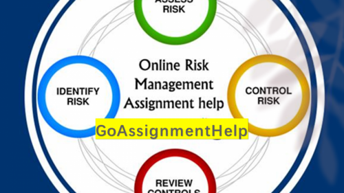 Risk Management Assignment Help