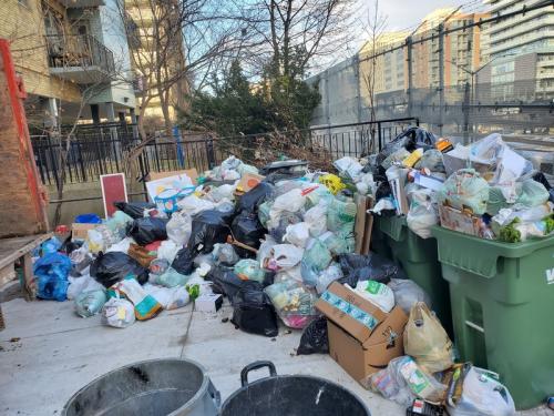 Yard Waste Removal in Toronto by 1-800 RID-OF-IT