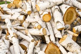 Firewood Logs For Sale Near Me