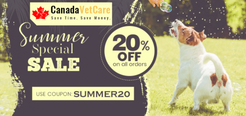 Summer Alert! 20% OFF on All Pet Supplies