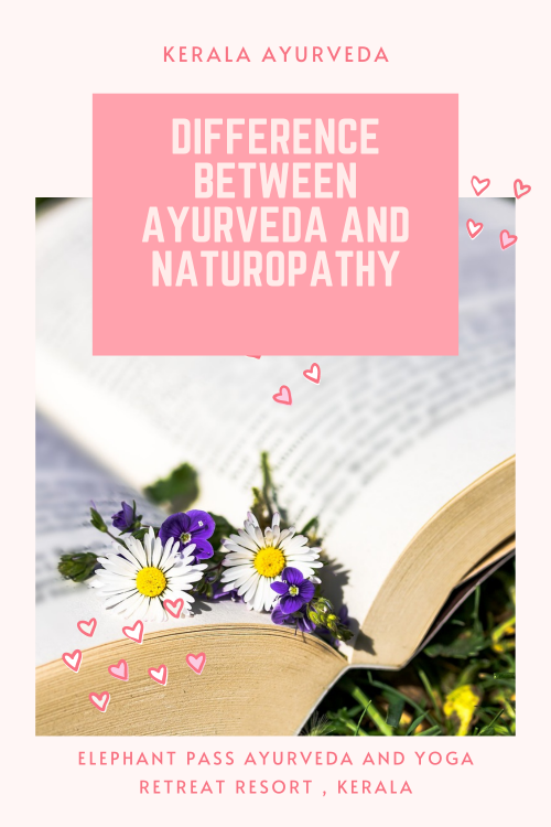 ayurveda and naturopathy