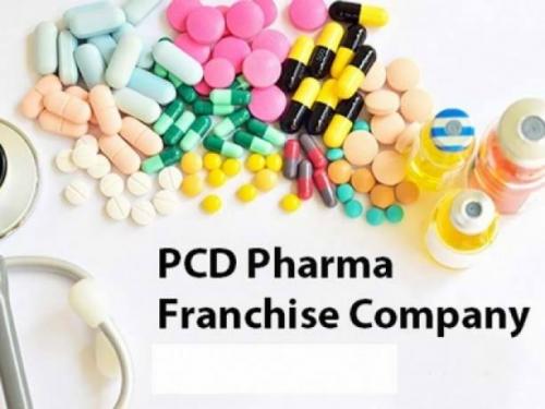 Suitable and Professional Top PCD Pharma Company - Zedip Formulations