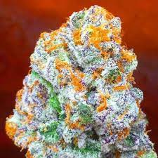 buy-lemon-kush-online